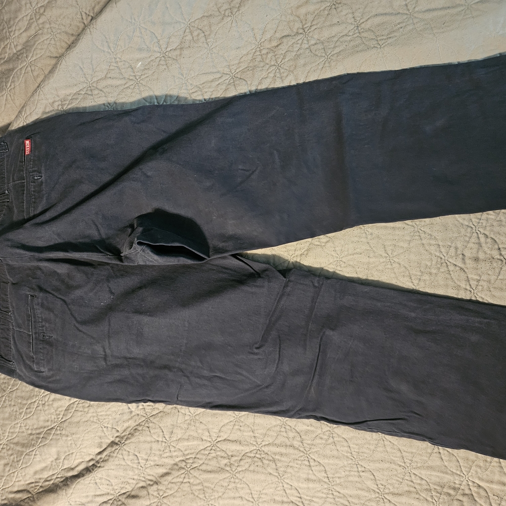 Dixxon Men's Blue Pants